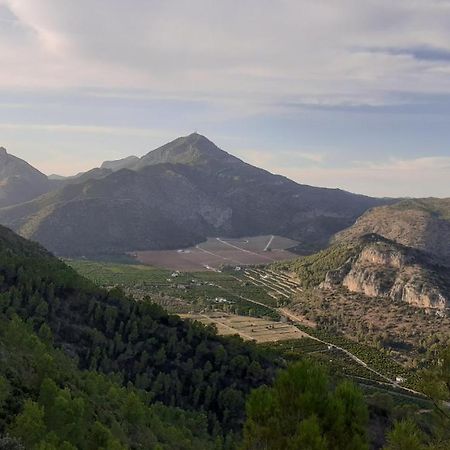 Les Moreres Gandia Zewnętrze zdjęcie