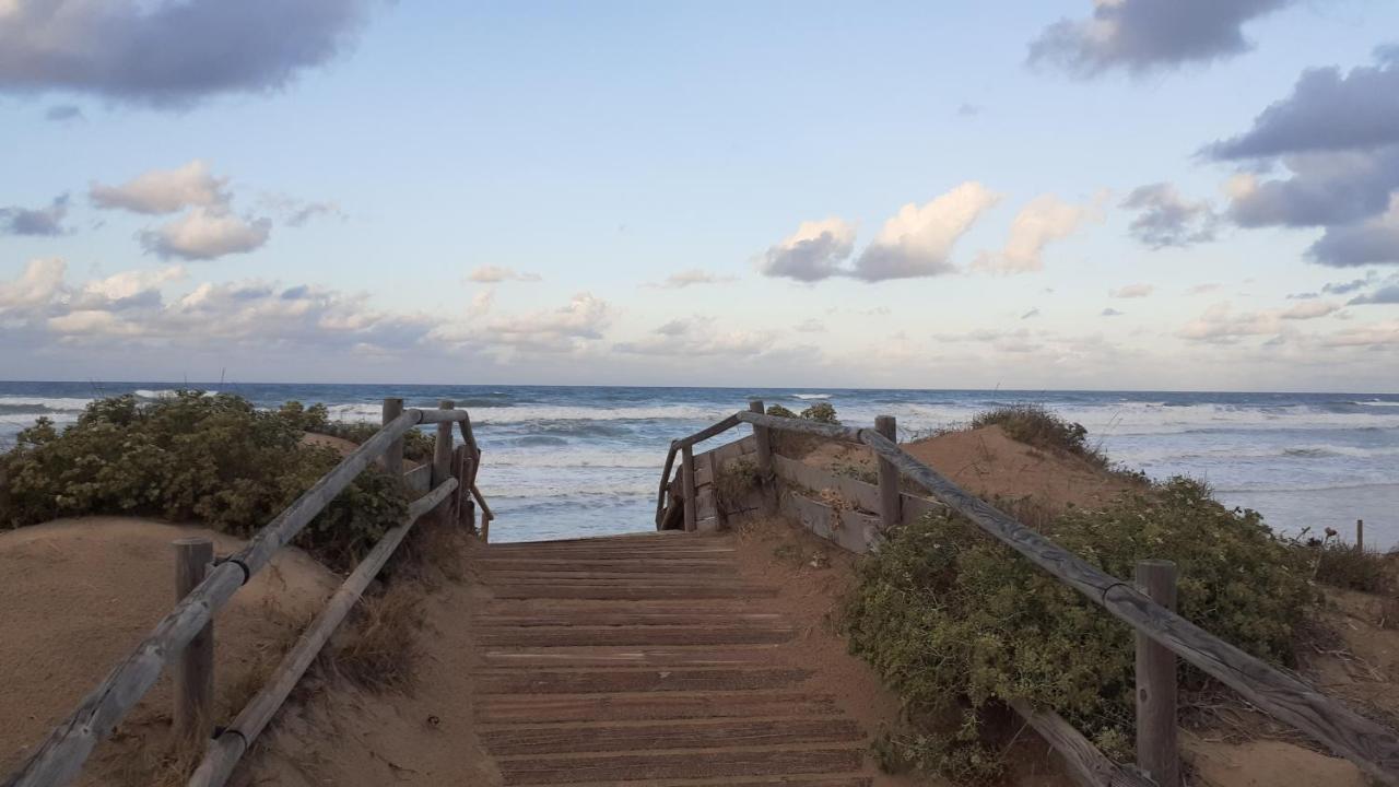 Les Moreres Gandia Zewnętrze zdjęcie