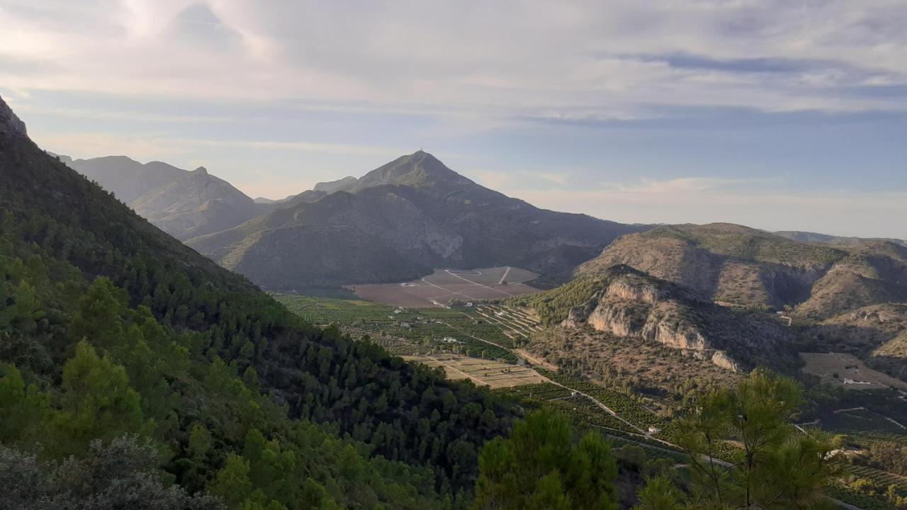 Les Moreres Gandia Zewnętrze zdjęcie
